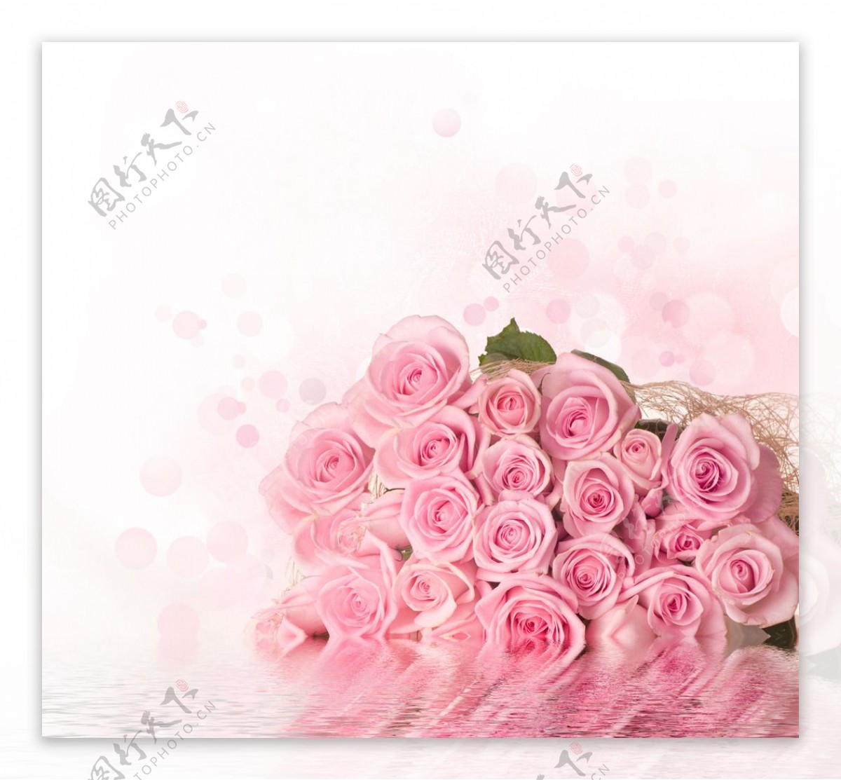 粉色玫瑰花水波纹背景图片