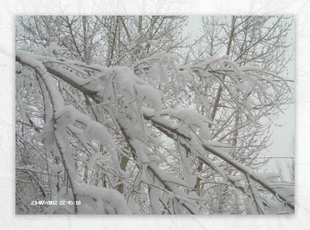 雪景图片