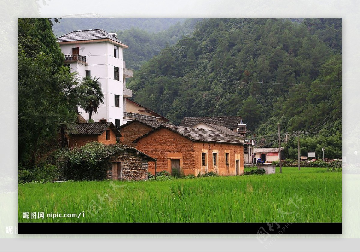 乡村即景图片