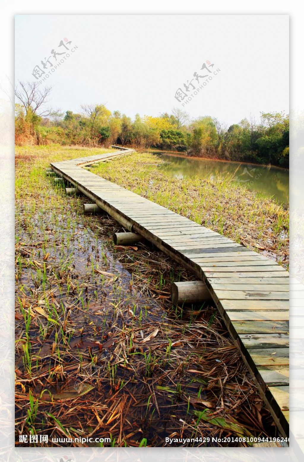 山间木桥图片