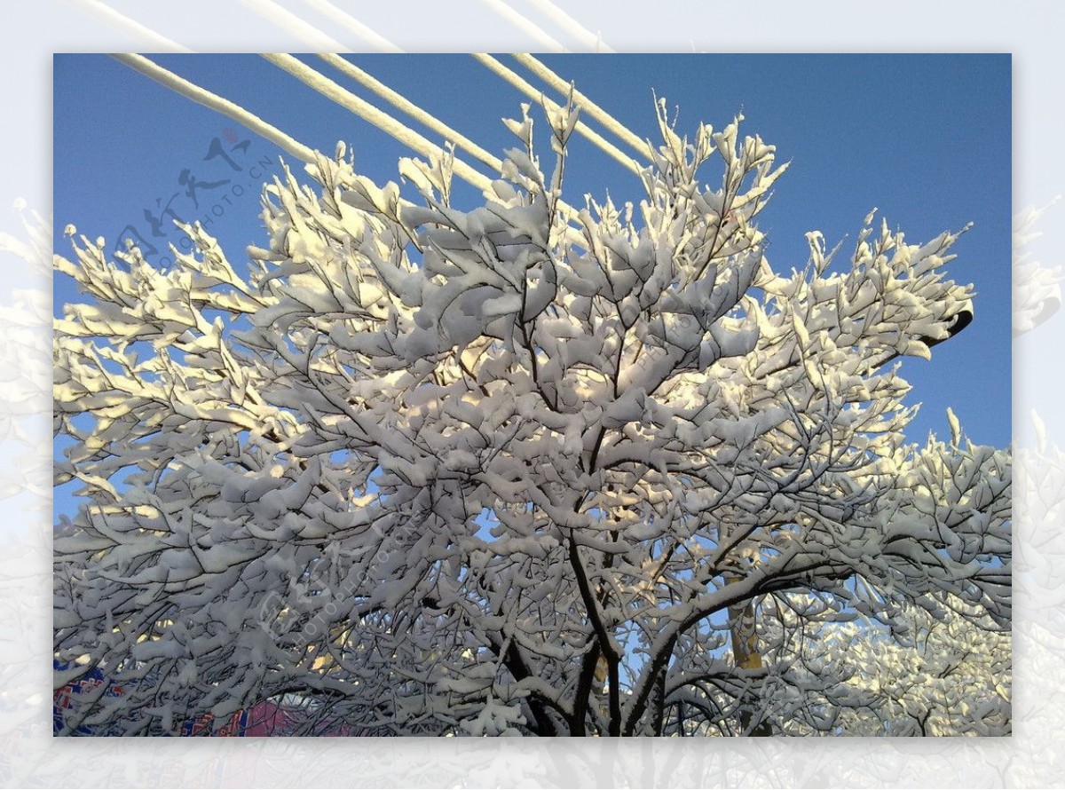 雪景图片