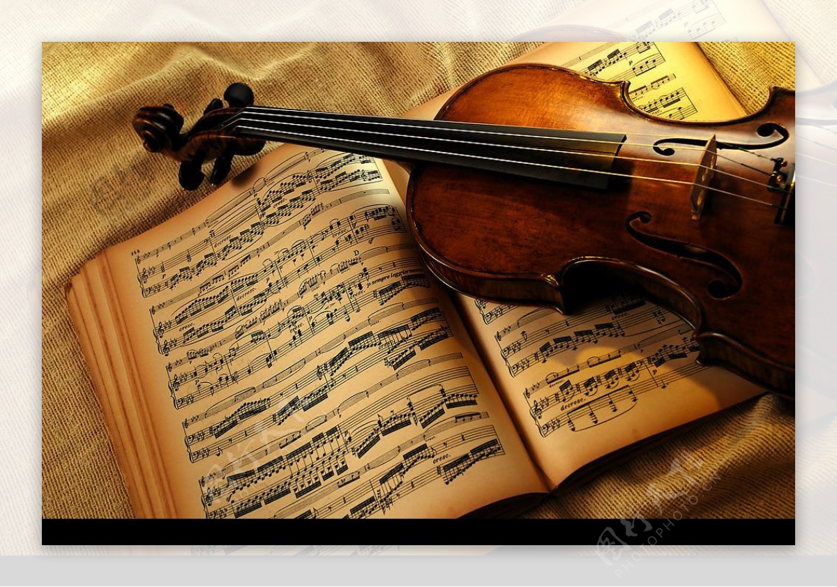 音谱小提琴图片