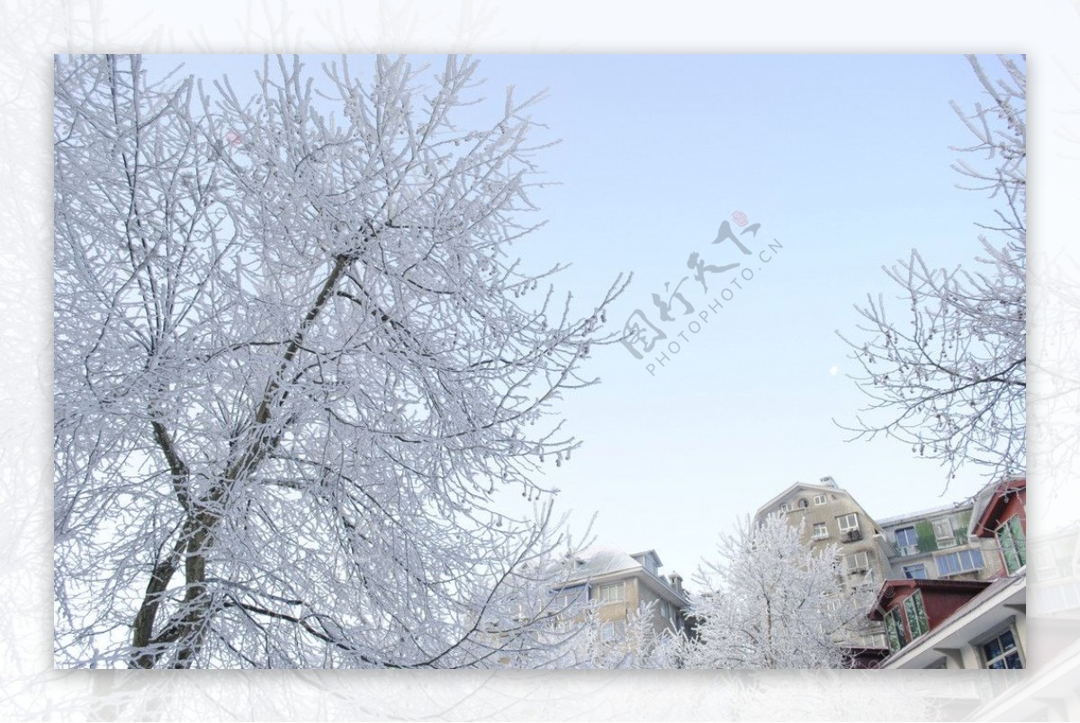 庐山大雪后的美图片