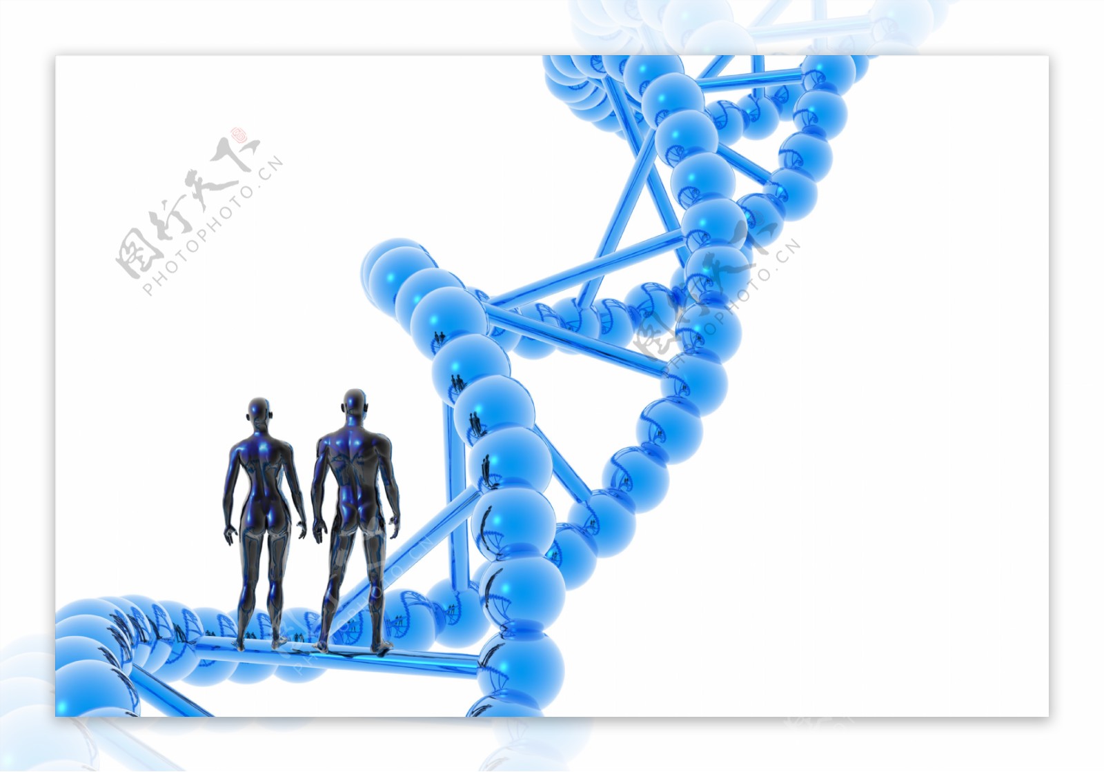 人类DNA图片
