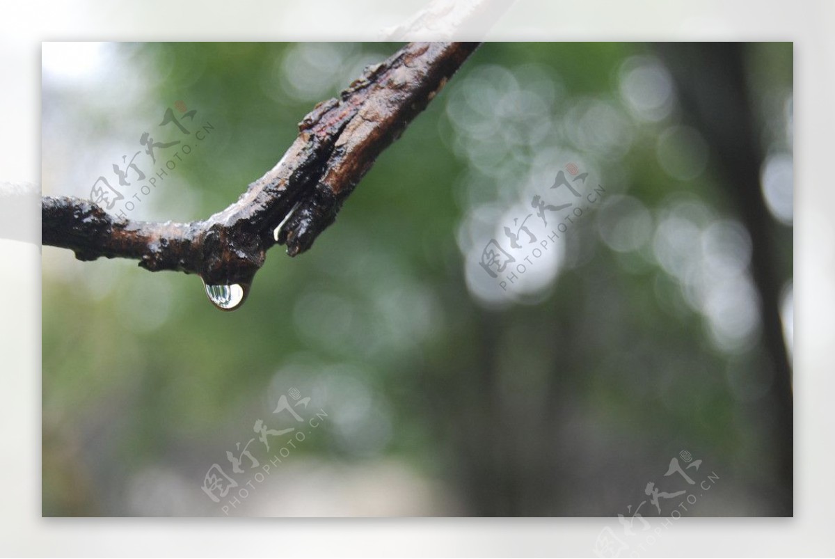 雨天图片