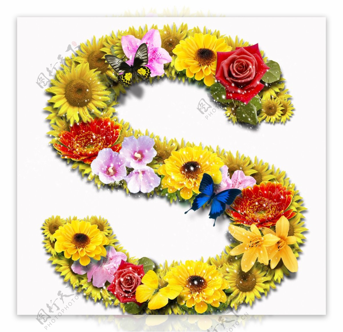 PSD花朵合成字母图片
