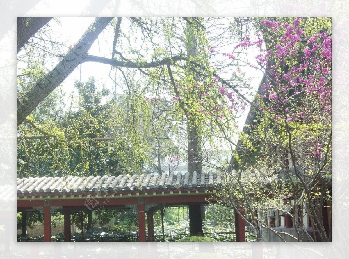 南京师范大学校园美景非高清图片