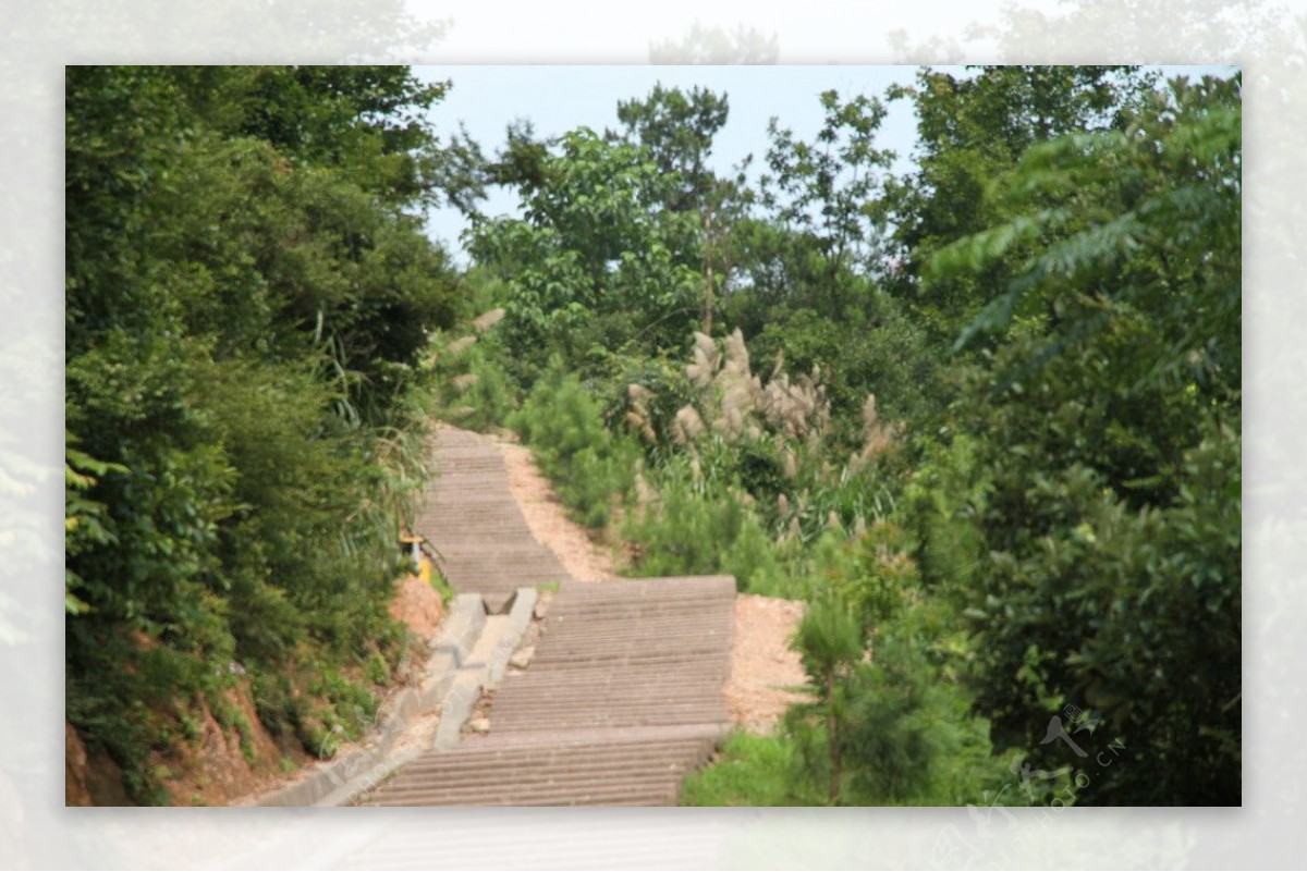 登山路图片