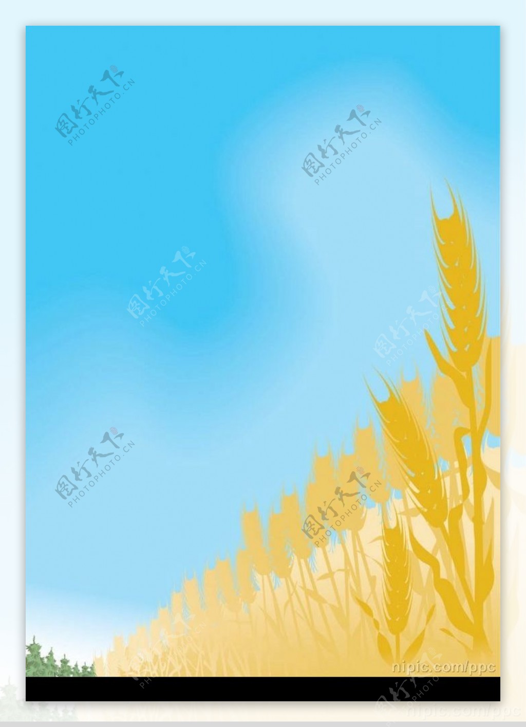 金色麦子图片