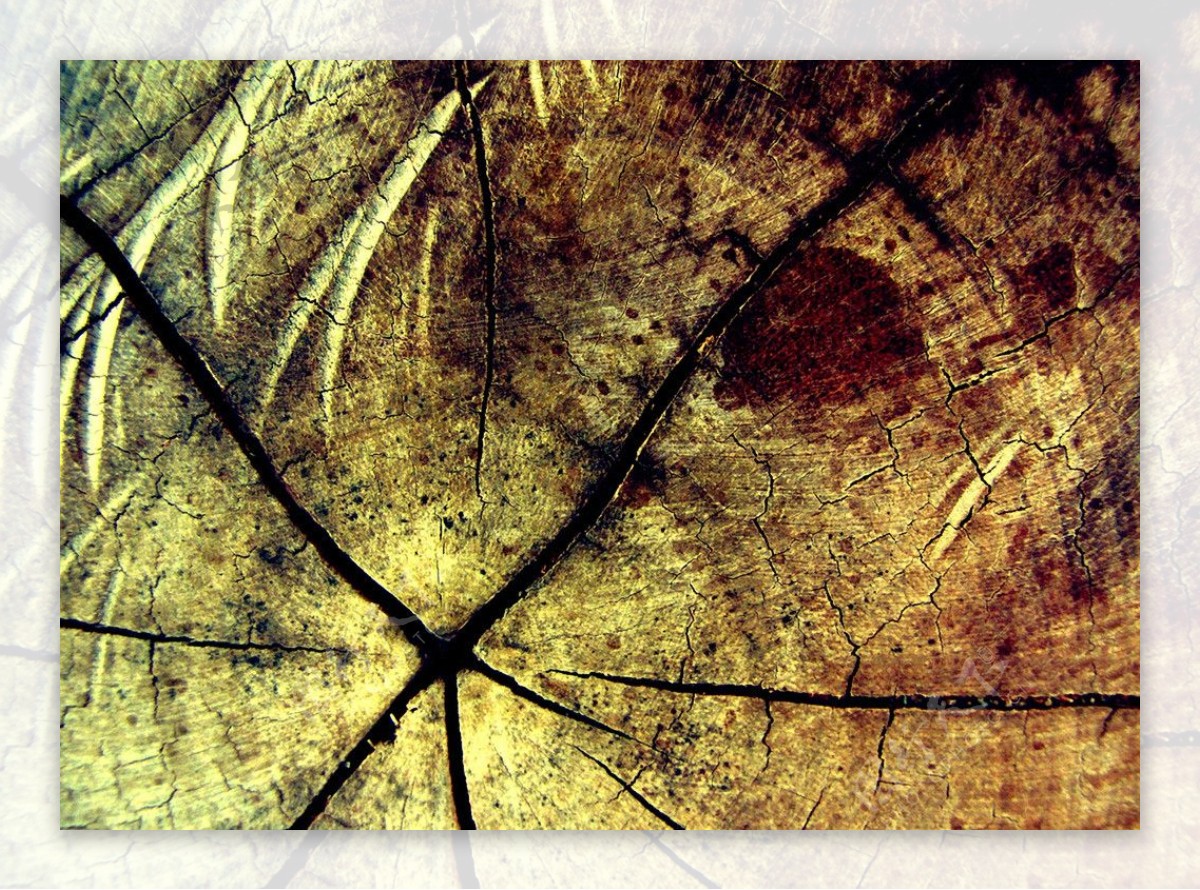 木纹理木纹木板的花纹木板得纹理图片