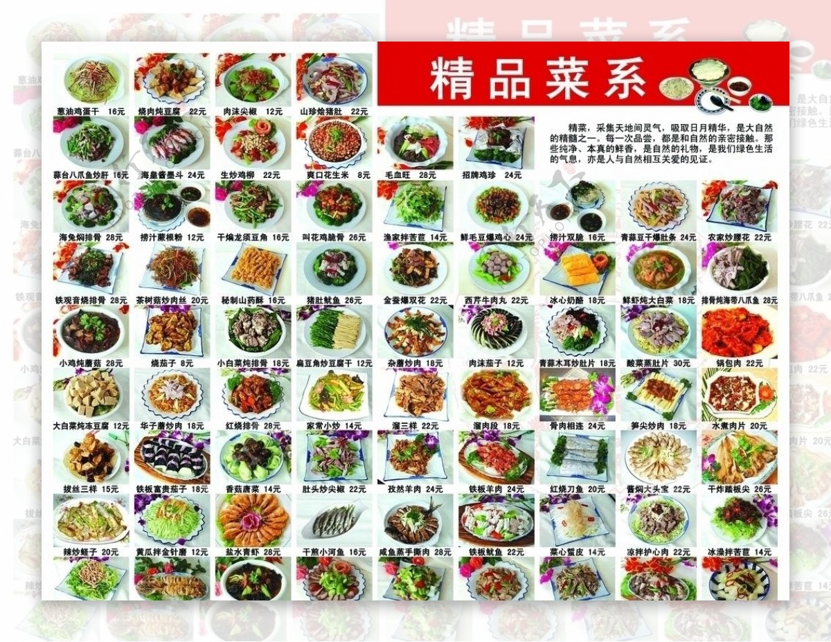 中国八大菜系是哪些？代表菜有哪些？80道各菜系名菜年夜饭盛宴，赶紧挑选你喜欢的菜做给家人们吧！_哔哩哔哩_bilibili