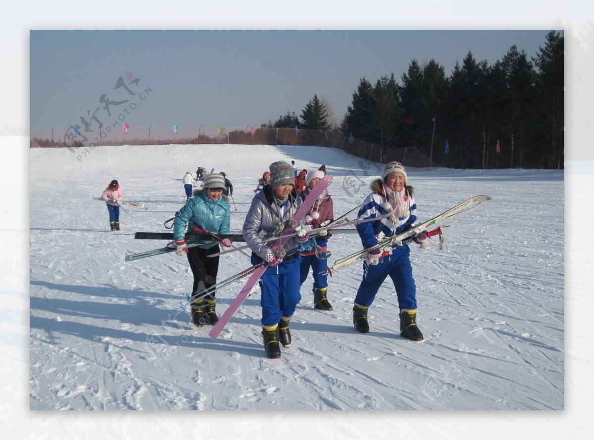 学生滑雪图片