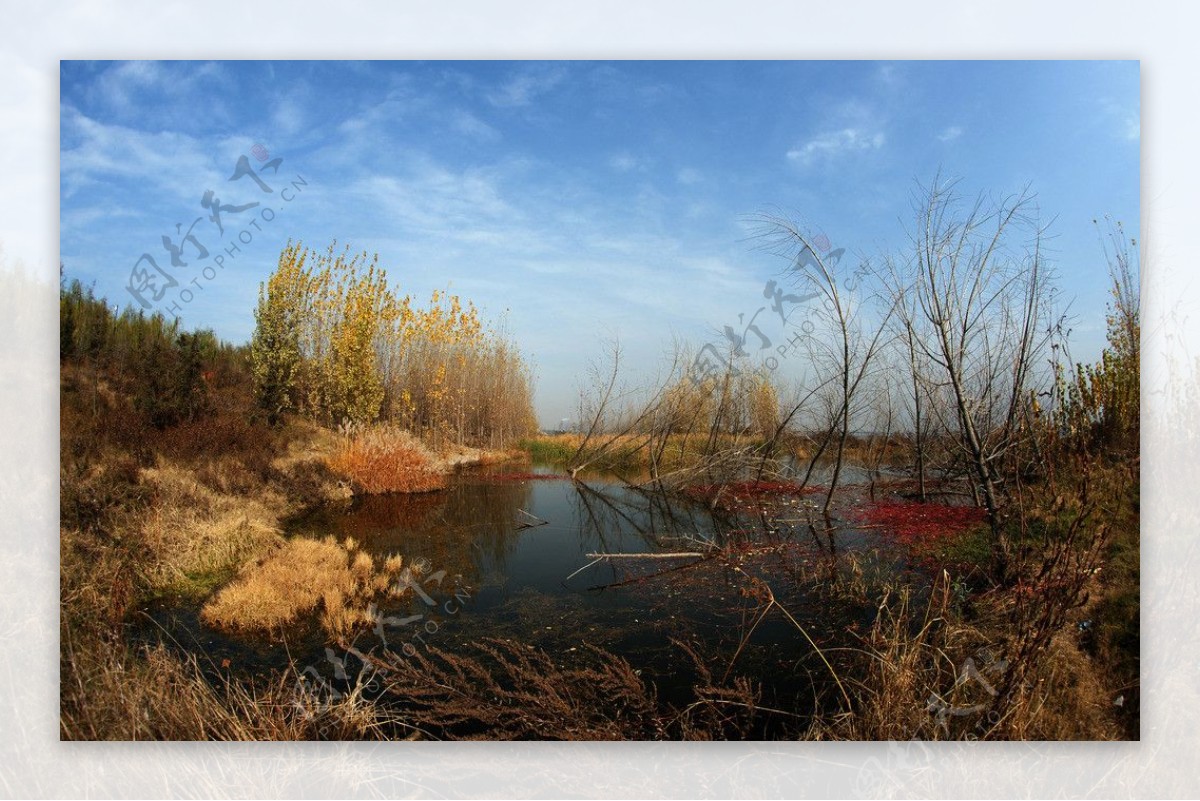 西安浐灞湿地公园图片