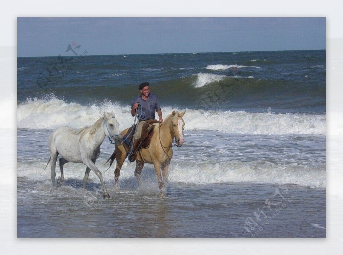 骑马海海边海浪两匹驰骋图片