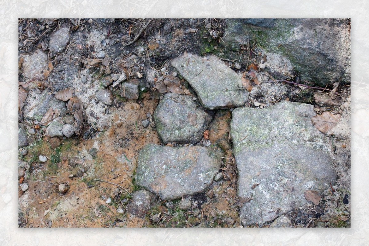 岩石泥巴地面图片