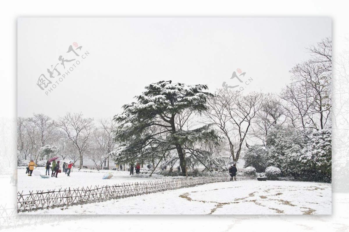 雪景图片