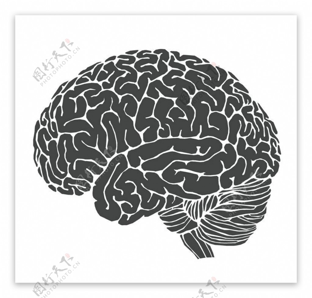 人脑大脑结构设计图片