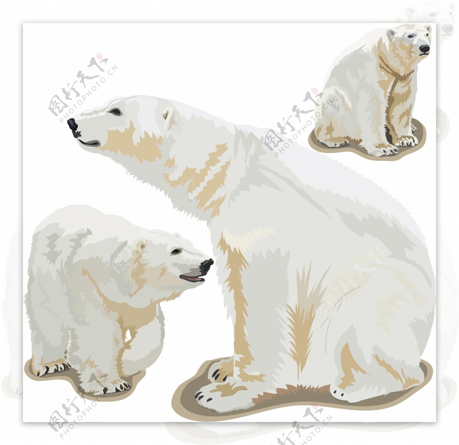 北极熊小熊熊图片