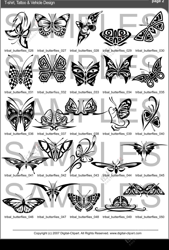 矢量素材集蝴蝶.Butterflies图片