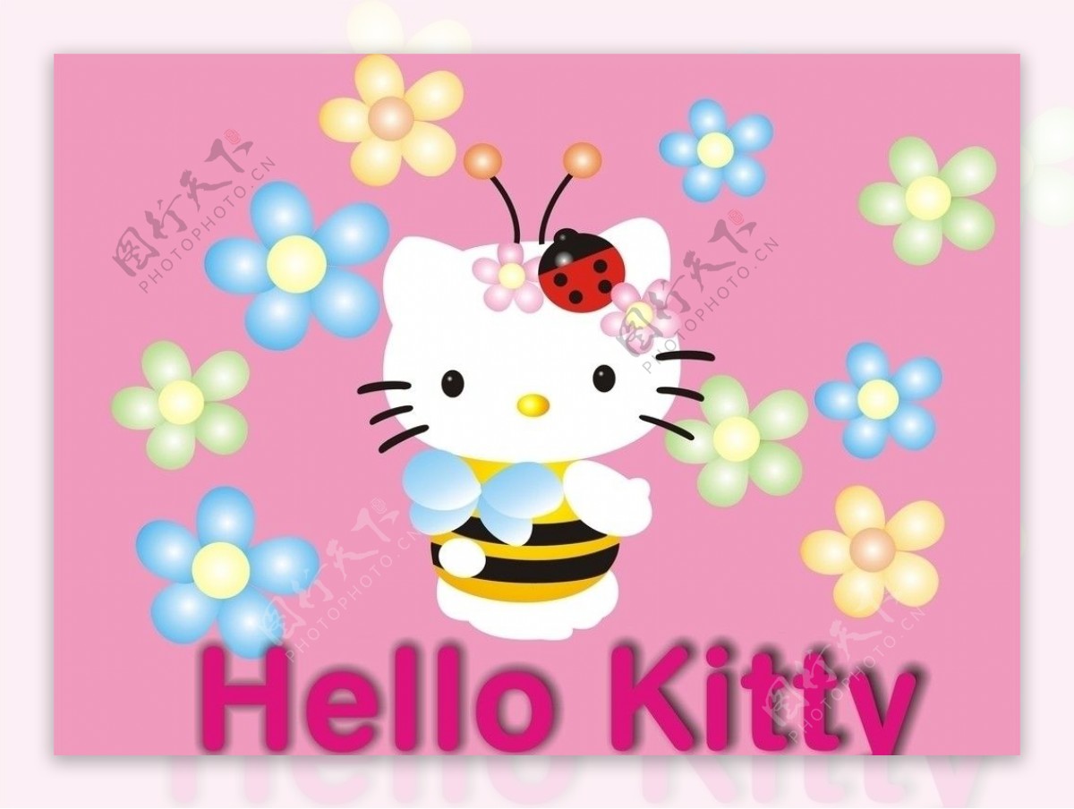 粉色kitty猫图片
