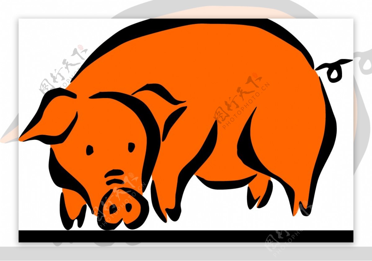 猪的矢量图图片