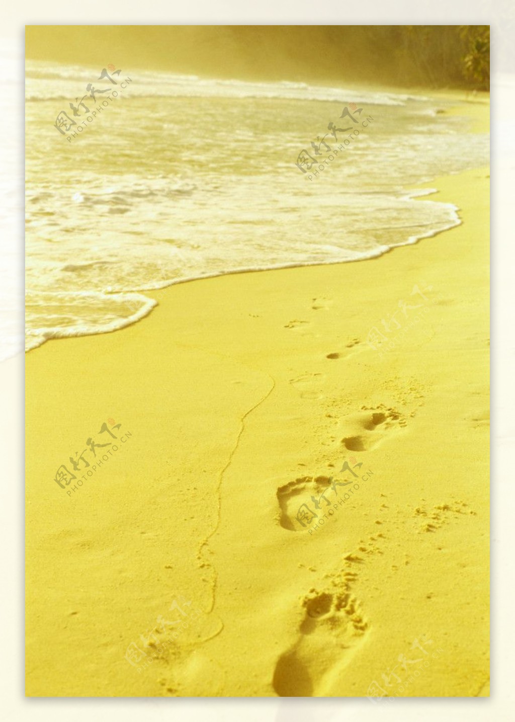 黄金沙滩图片