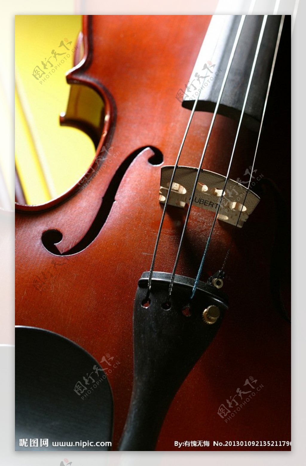 小提琴琴身图片