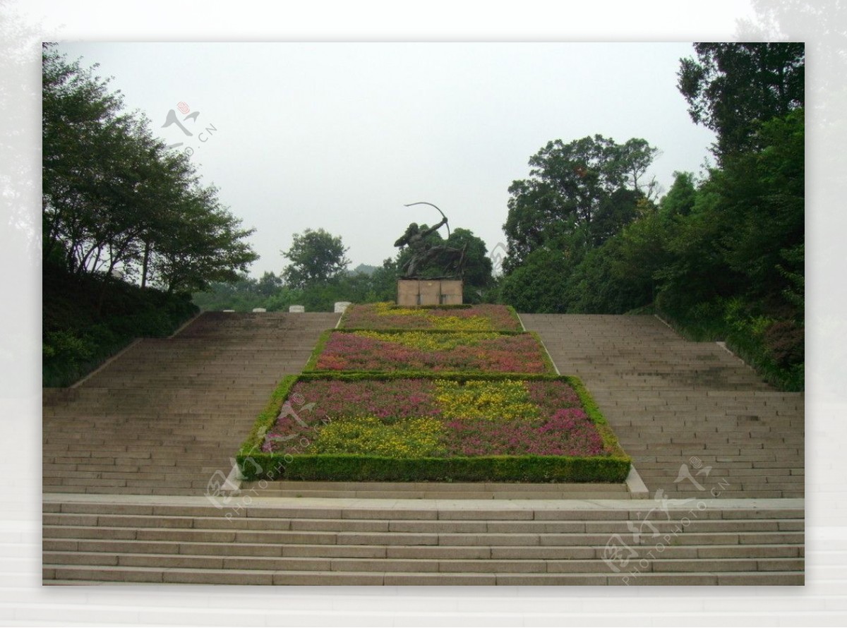 满陇桂雨图片