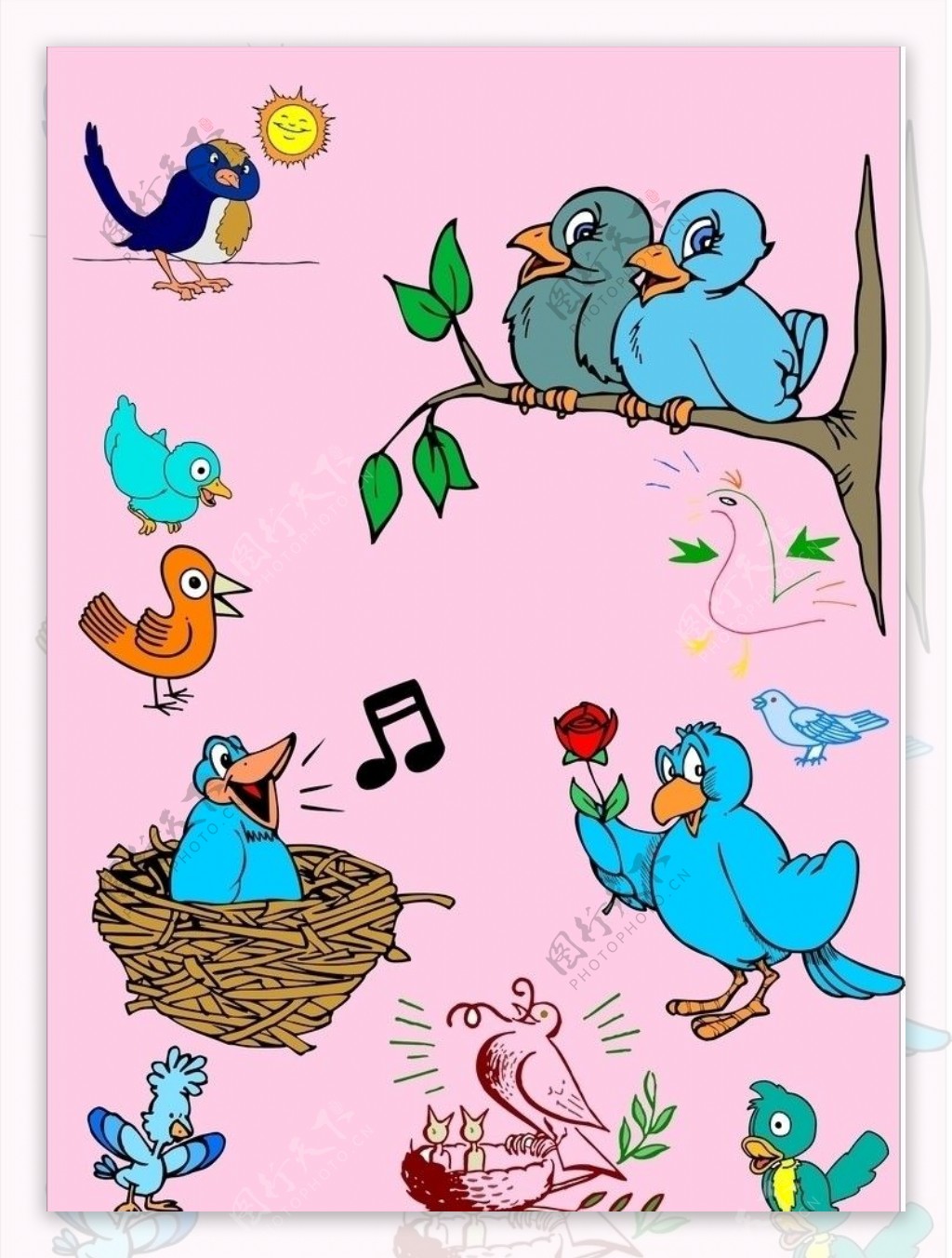 可爱小鸟漂亮鸟类写真壁纸_动物_太平洋科技