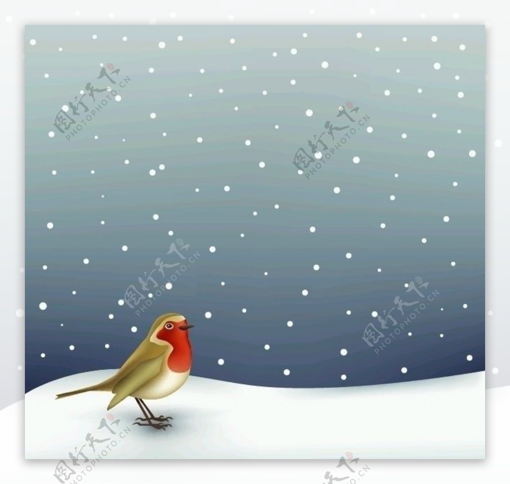 雪地中的知更鸟鸫欧亚鸲图片