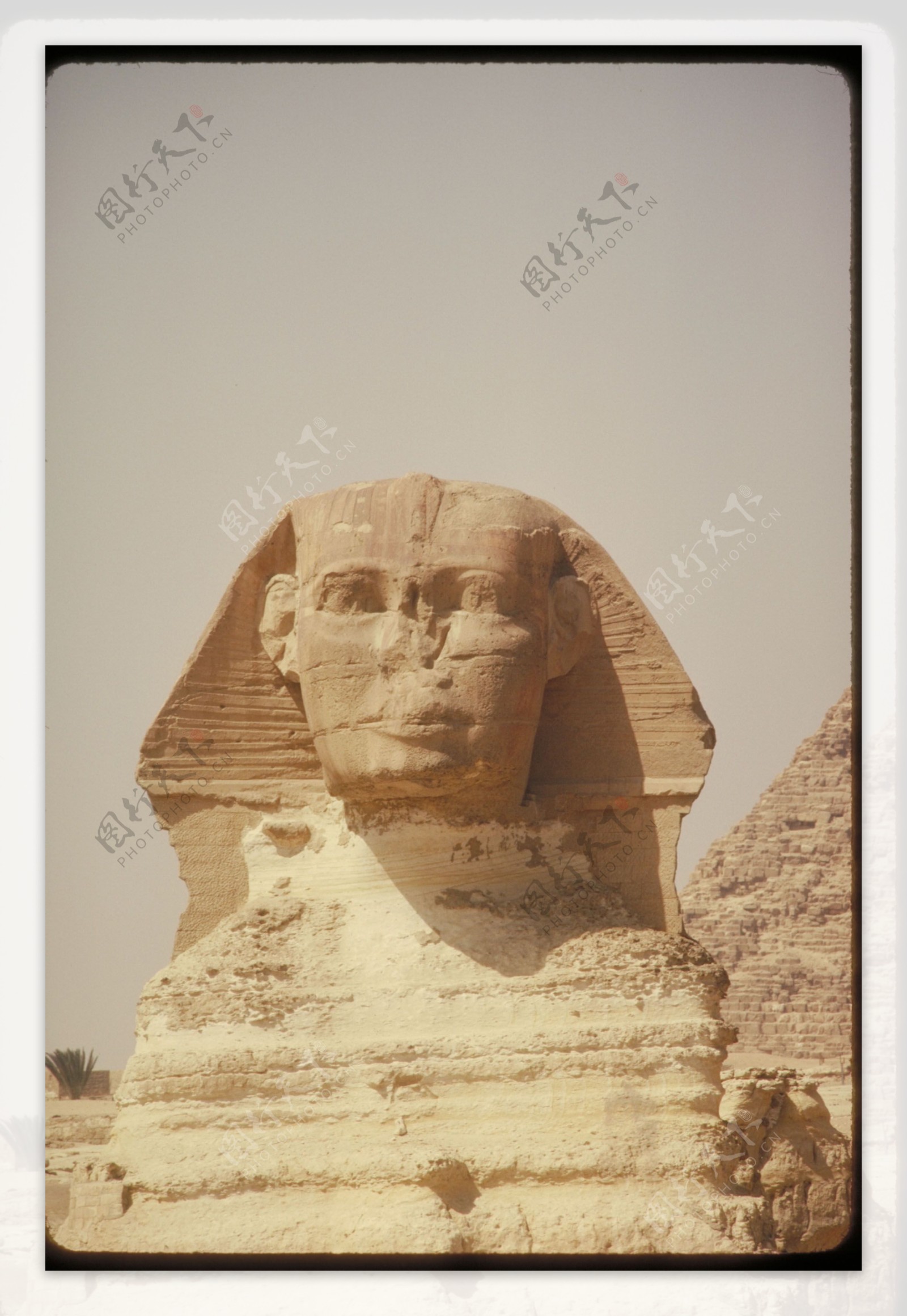 埃及狮身人面像图片