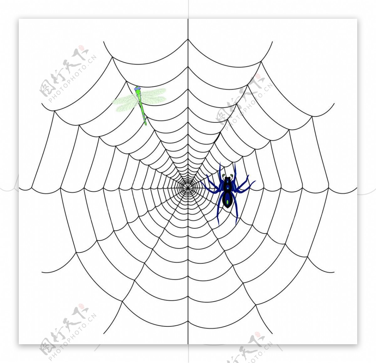 蜘蛛网矢量素材图片