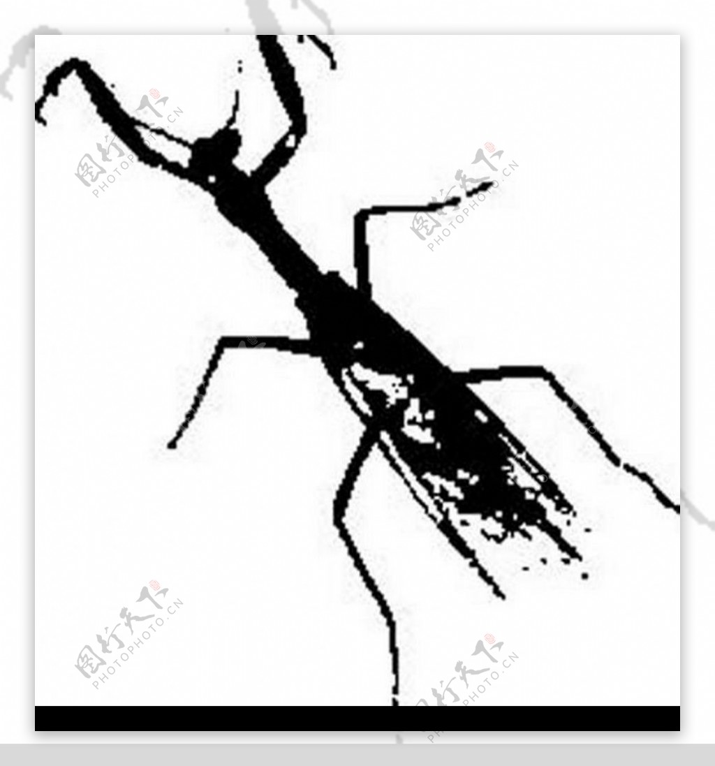 卡通手绘螳螂图片素材-编号40257003-图行天下