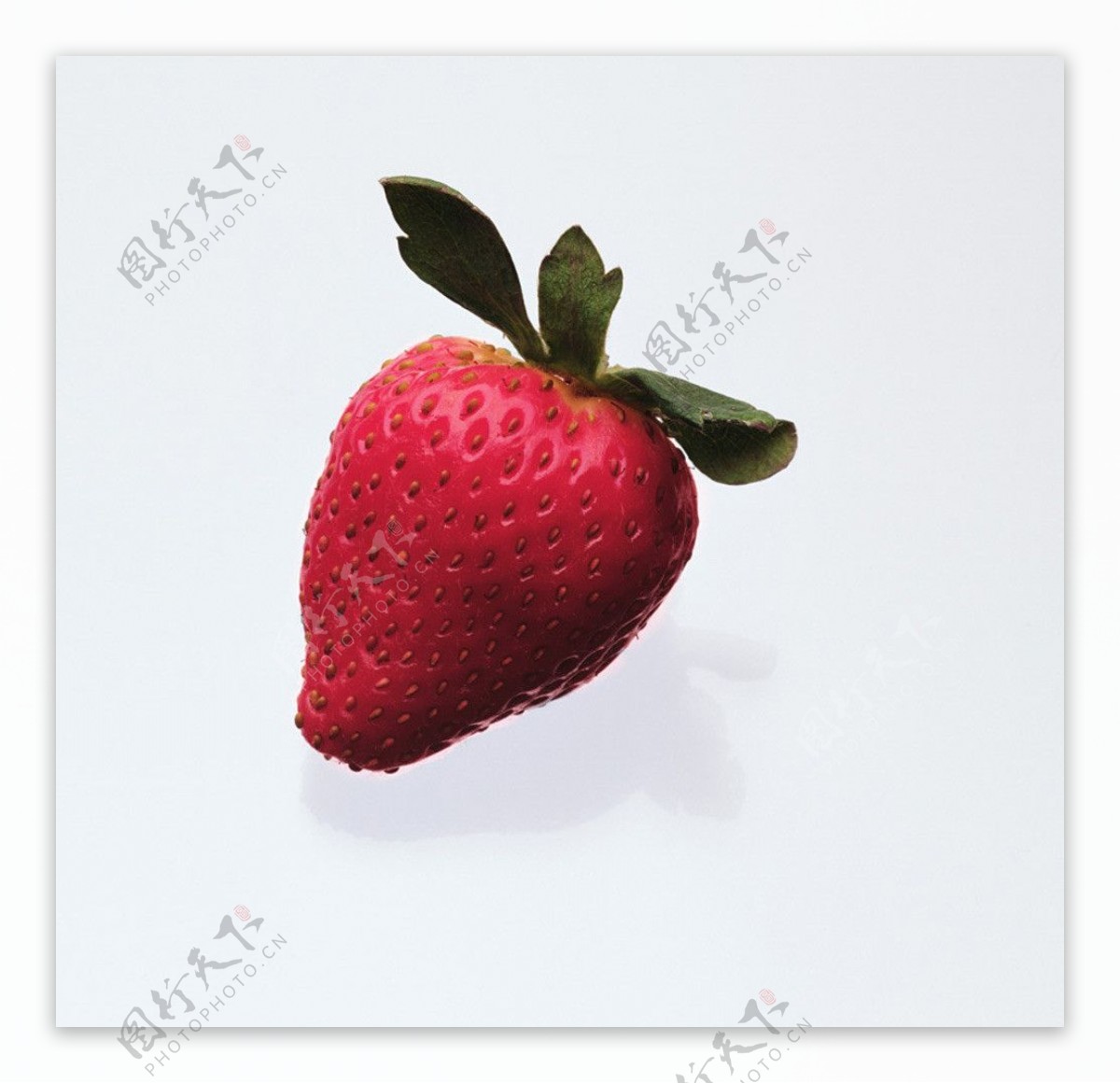 草莓高清图图片