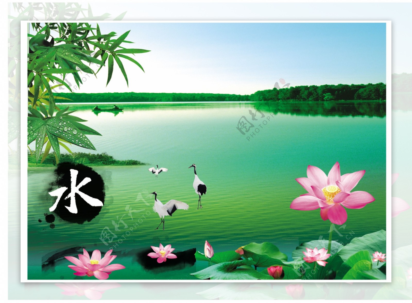 荷塘仙鹤绿湖底图图片