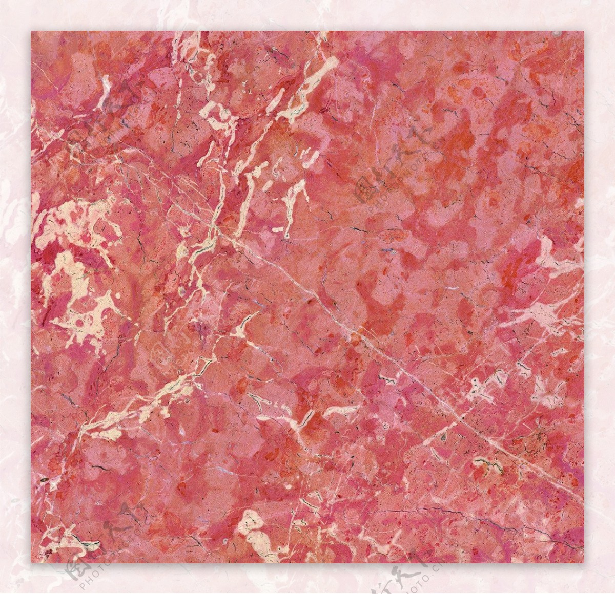 珊瑚红瓷砖单片图片