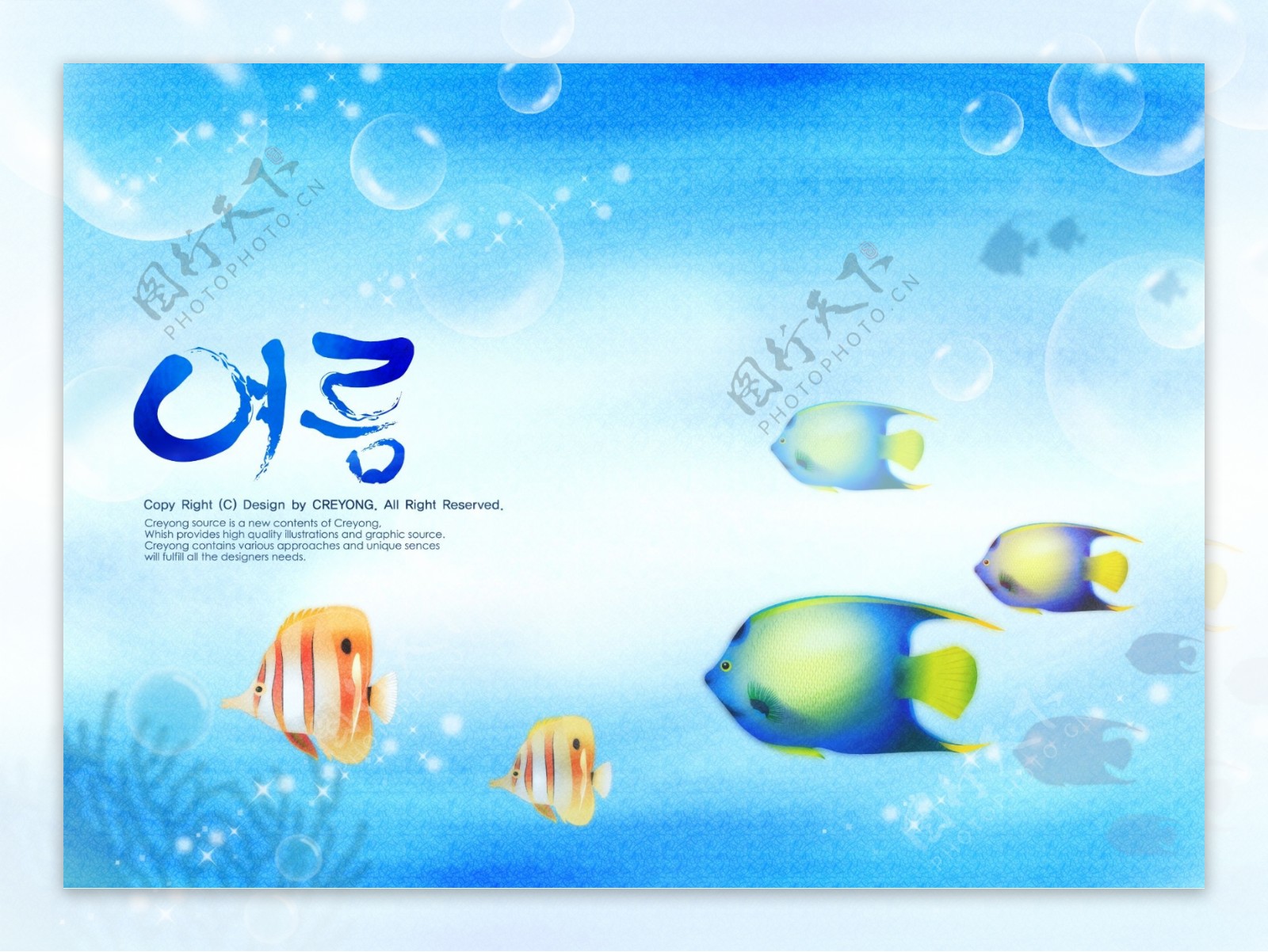韩国海蓝背景图片