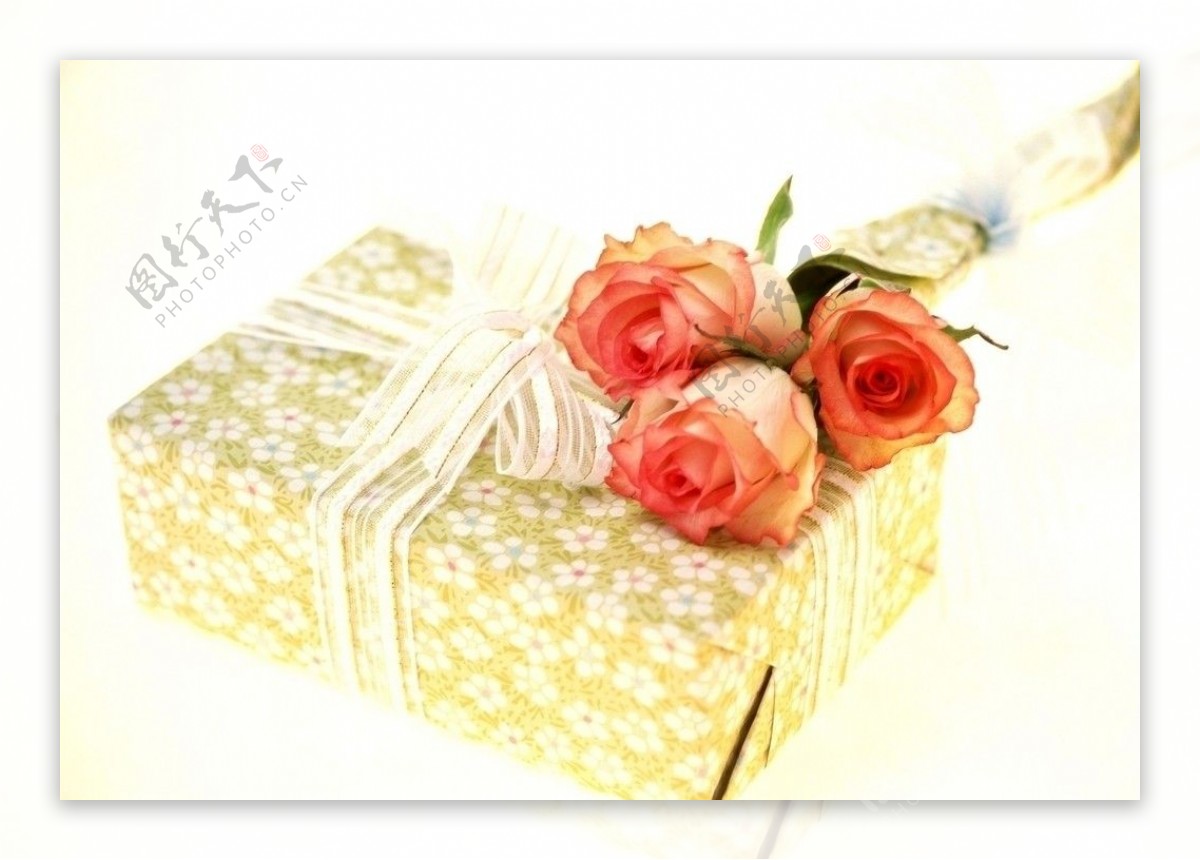 玫瑰花粉色花朵蝴蝶结生日礼物图片