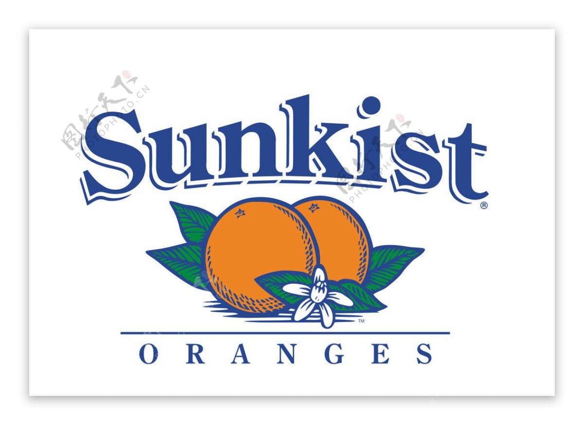 SUNKIST橙子图图片