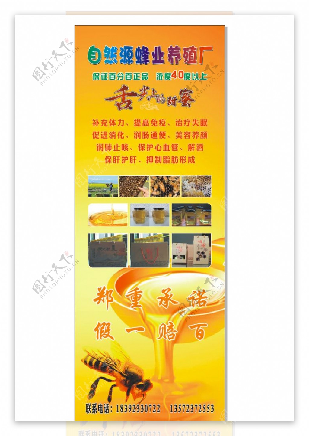 自然源蜂业养殖厂图片