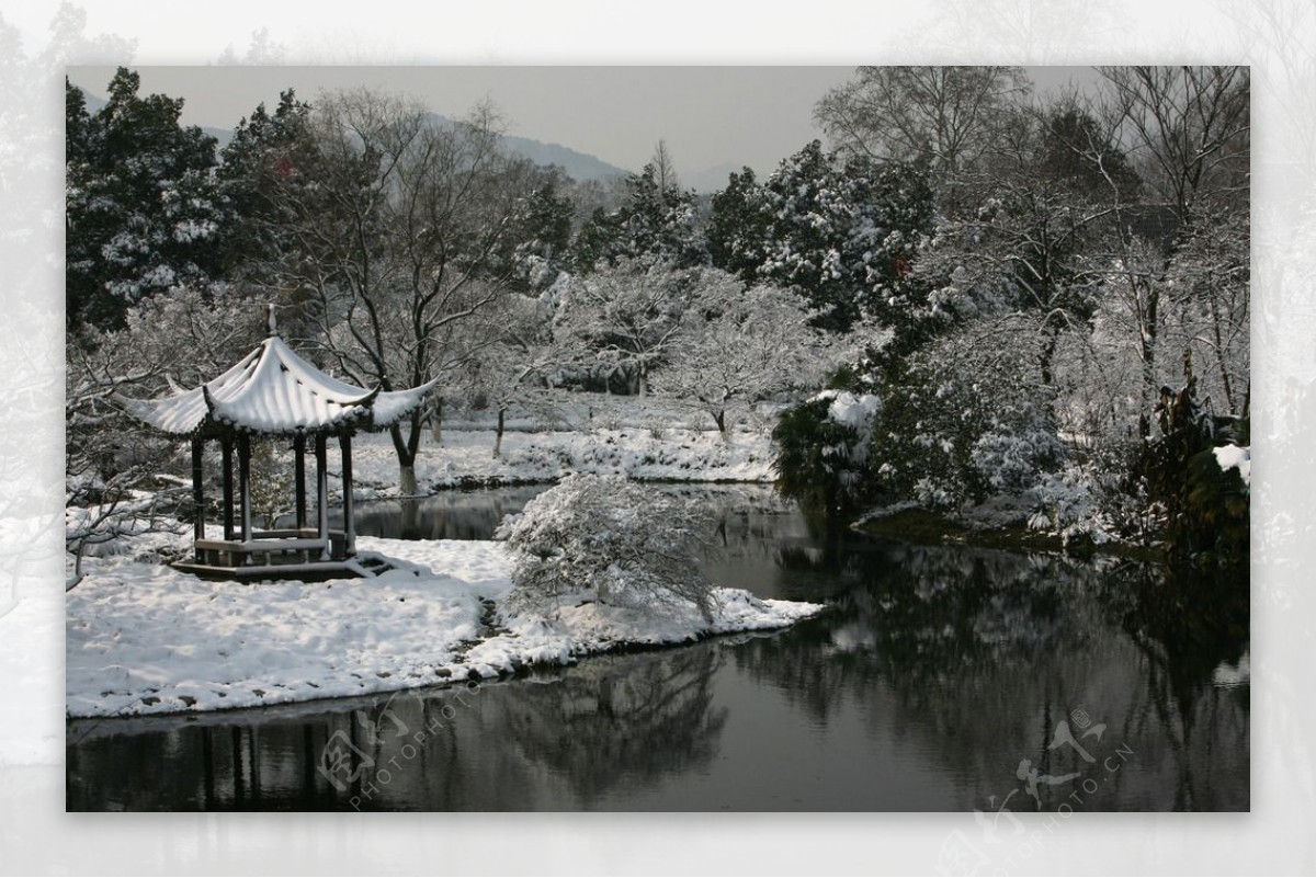 杭州花圃雪后初晴图片