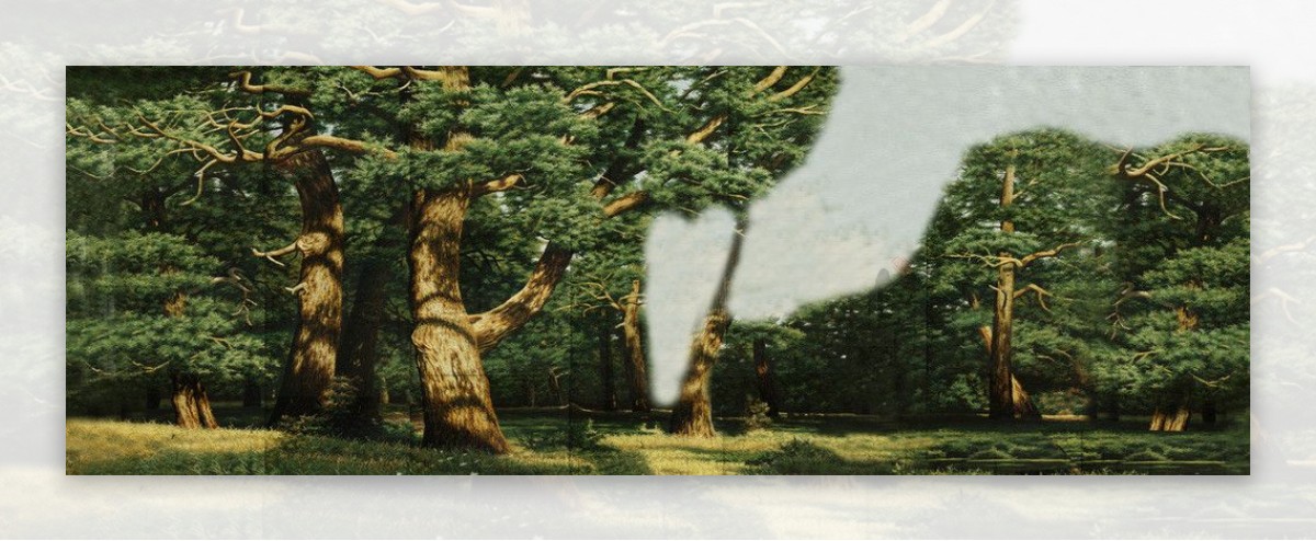橡树林图片