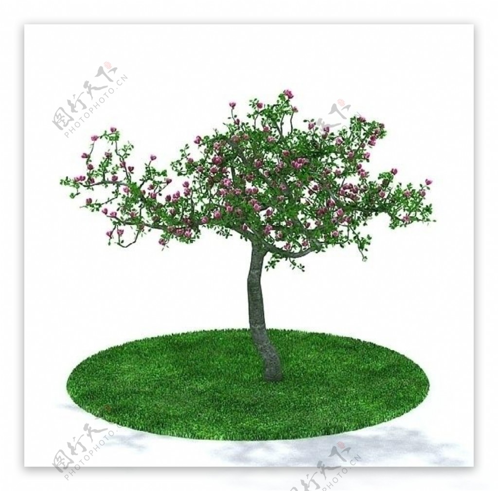 3D精细绿色树木模型图片