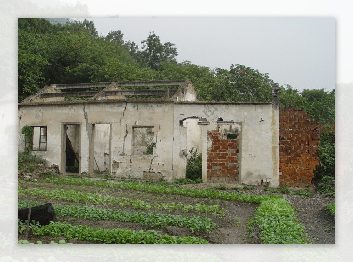 断壁残垣图片