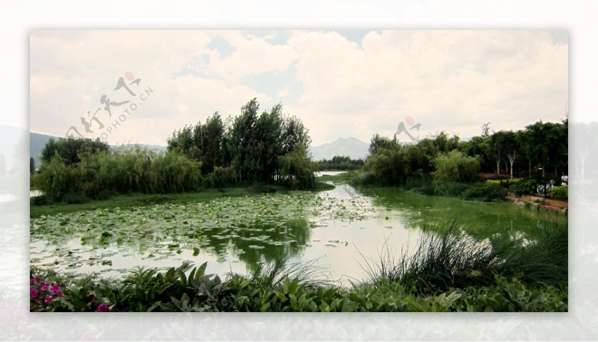 滇池草海图片