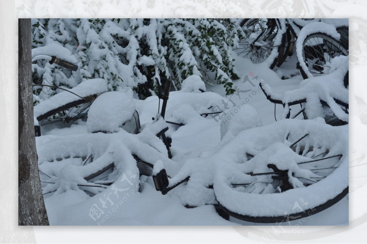 大雪覆盖的自行车图片