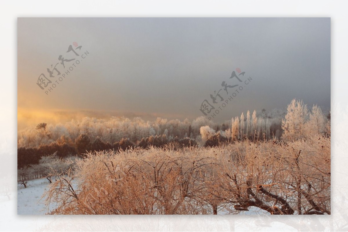 奥林匹克公园雪景图片