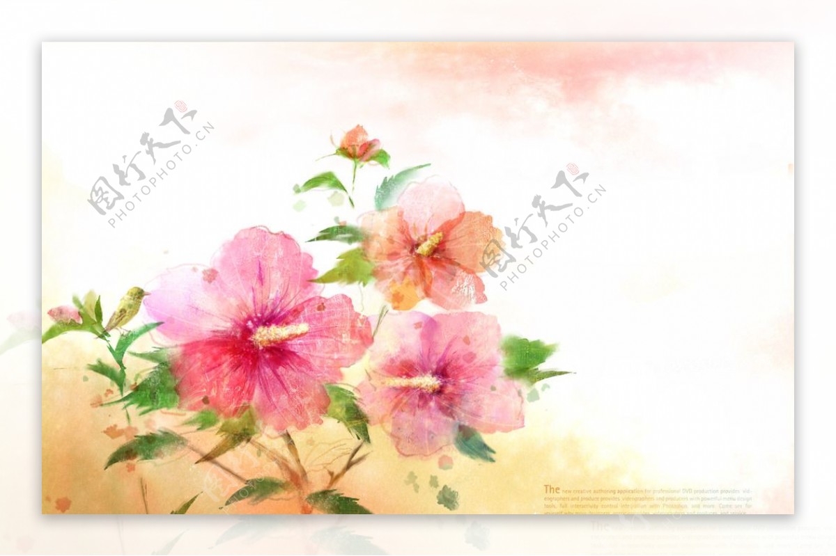 时尚手绘花卉设计图片