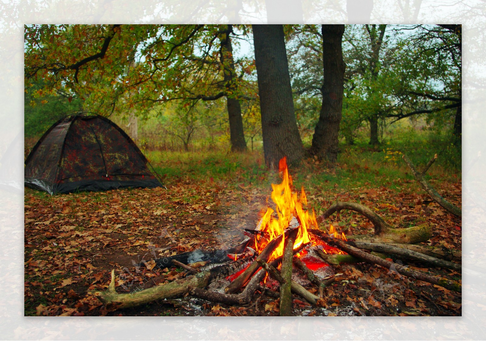 湖边露营帐篷与篝火图片