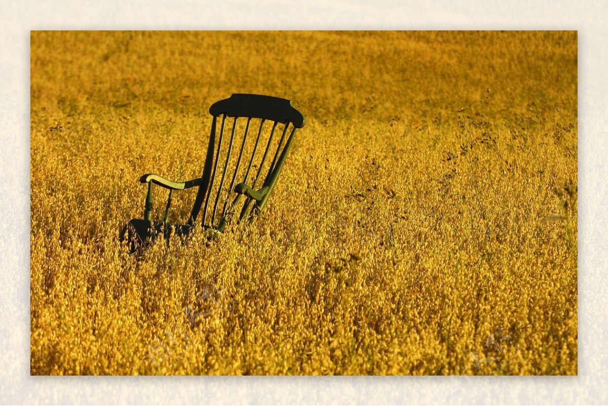 椅子金黄图片